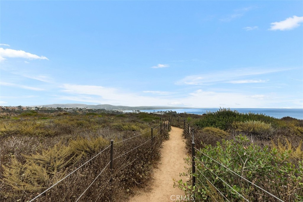 MLS #OC25067315 image #74