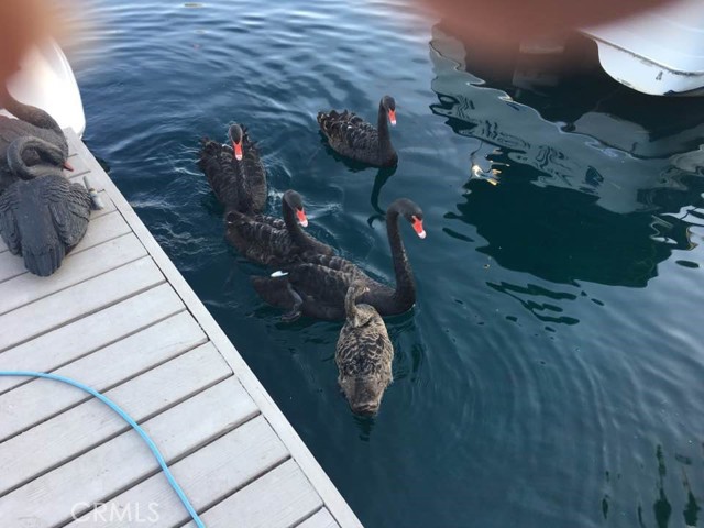 MLS #OC25075204 image #36