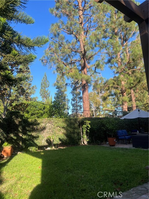 MLS #OC25077150 image #11