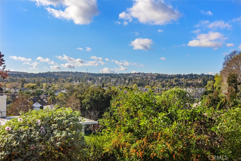 MLS #OC25080823 image #25