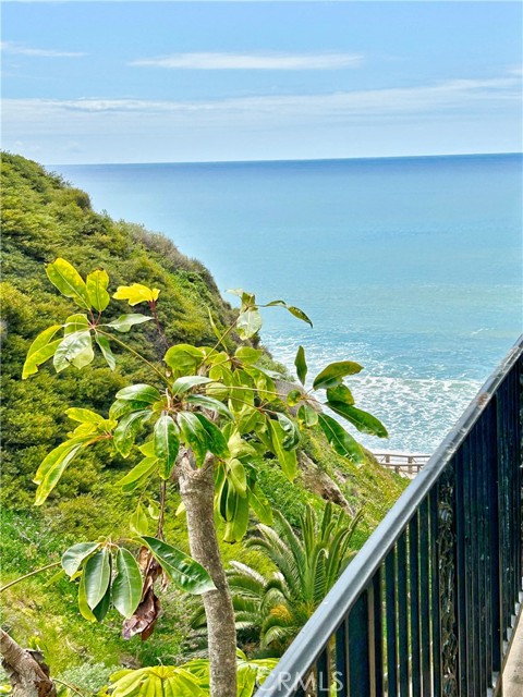 MLS #OC25085759 image #25