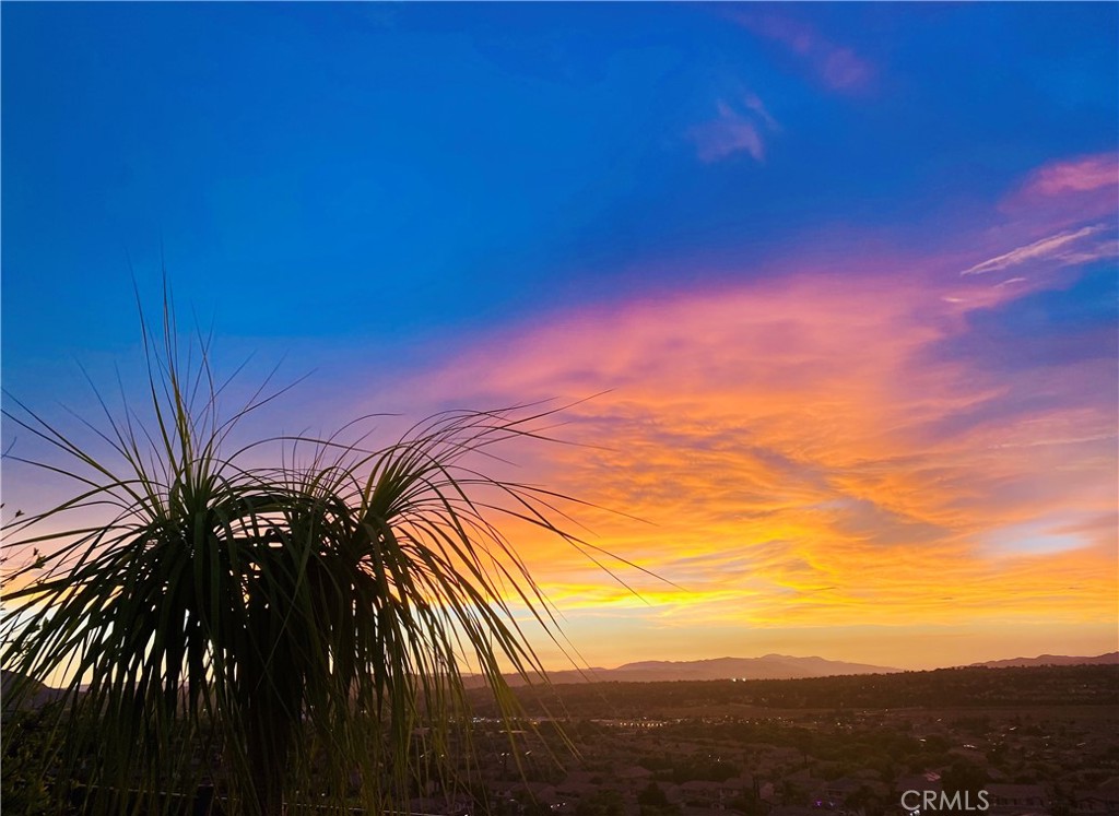 MLS #OC25088742 image #71