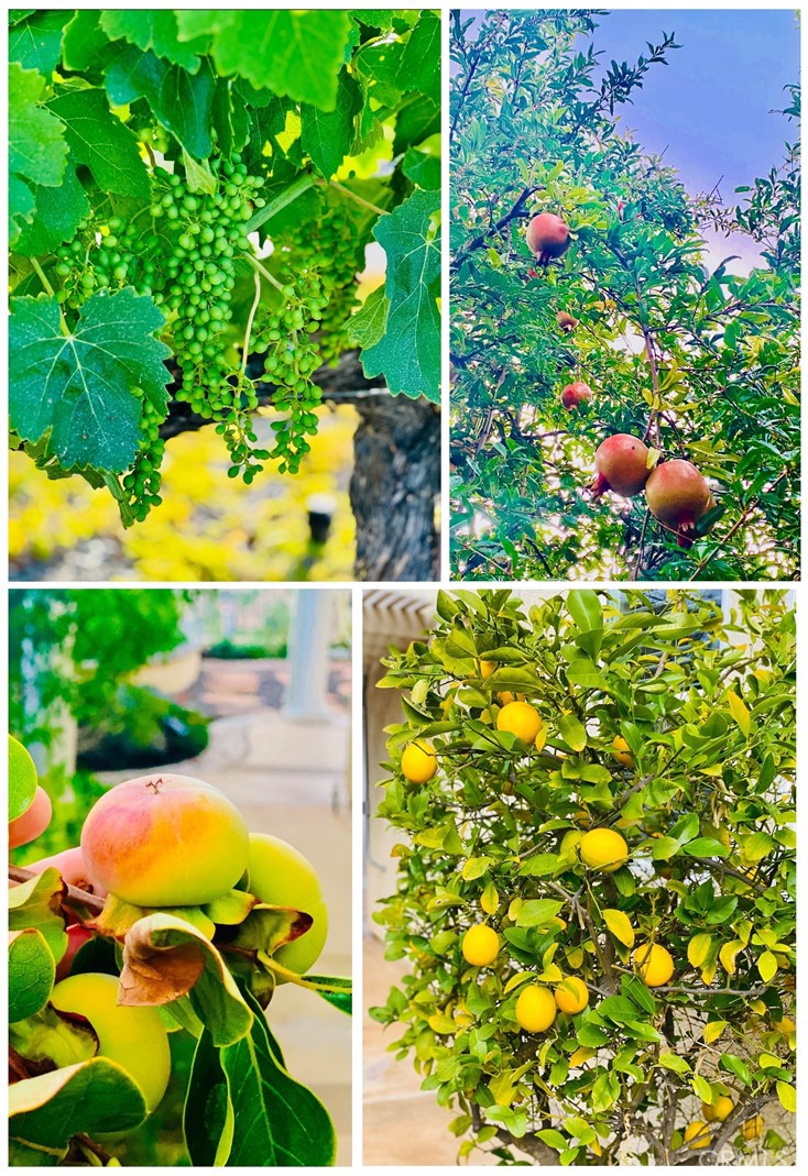 MLS #OC25088742 image #73