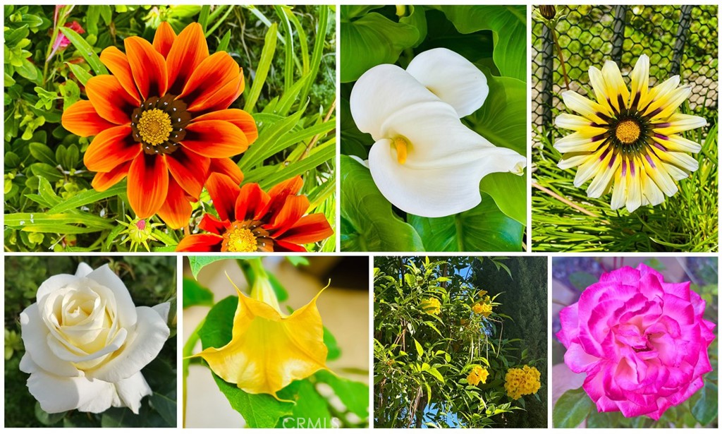 MLS #OC25088742 image #74