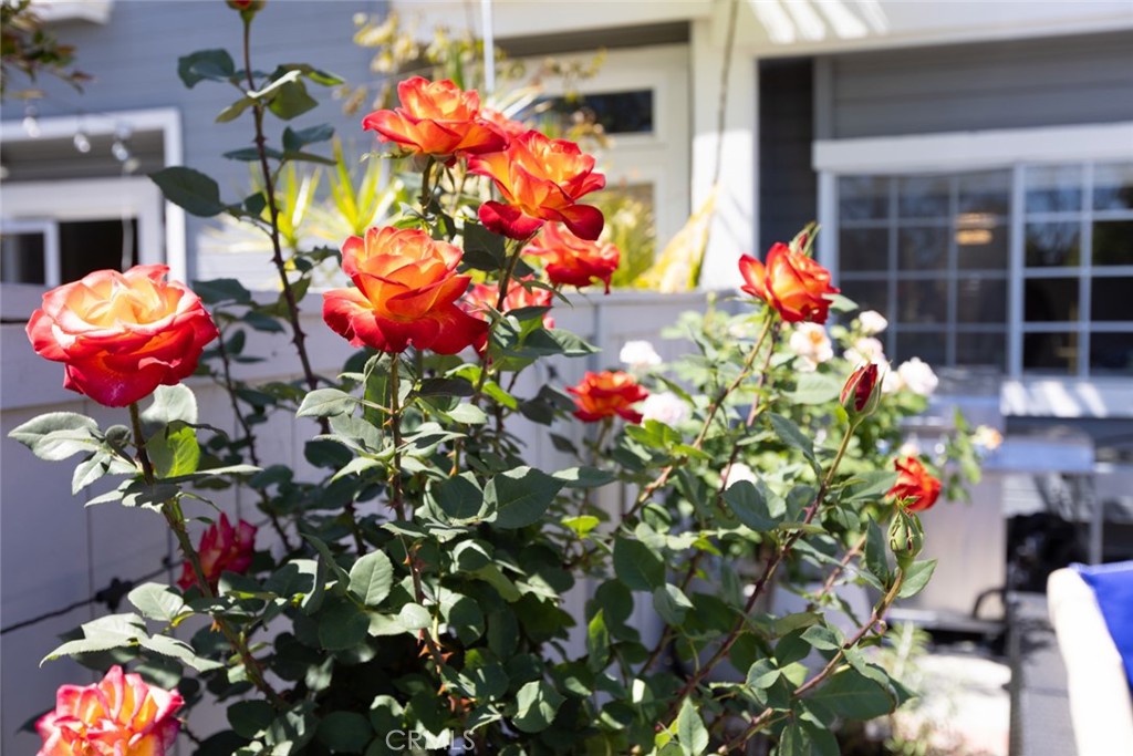 MLS #OC25090106 image #30