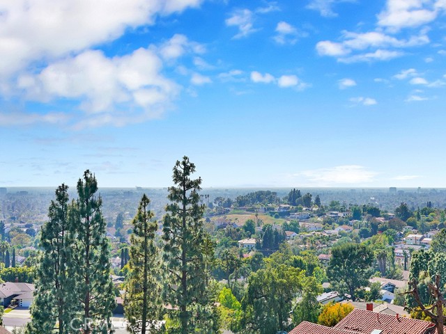 MLS #OC25091905 image #16