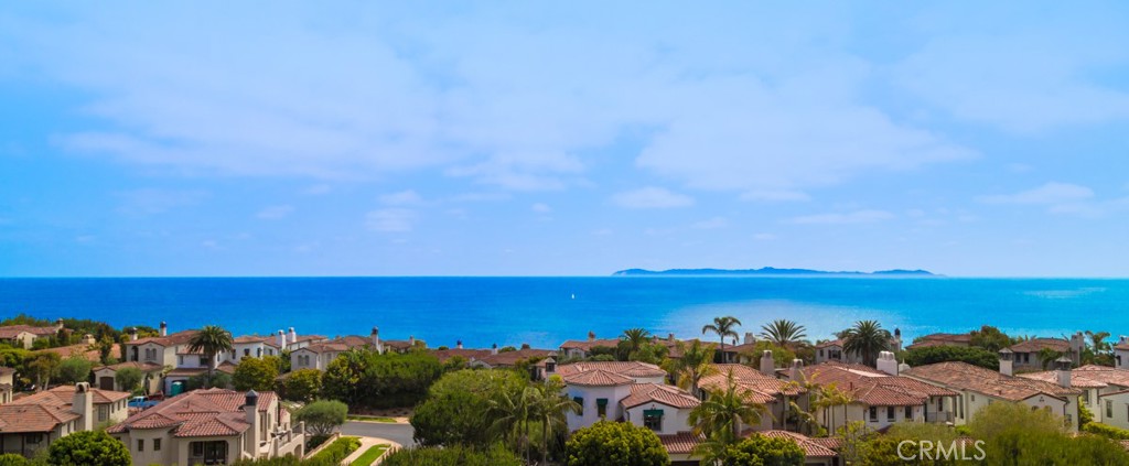 MLS #OC25094452 image #50