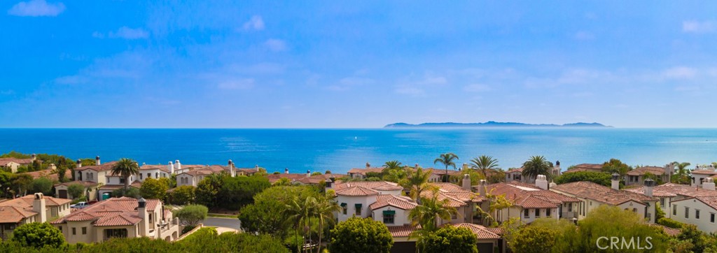 MLS #OC25094452 image #51