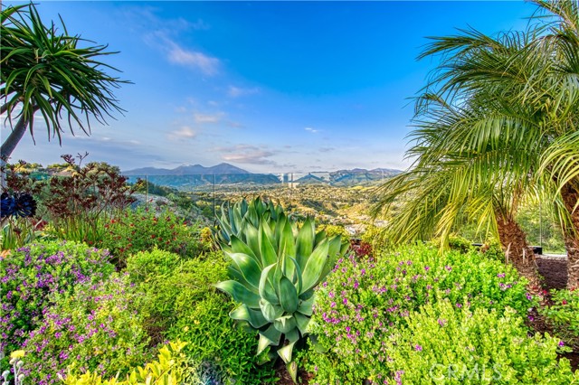 MLS #OC25096553 image #48