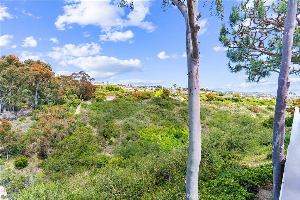 MLS #OC25098501 image #48