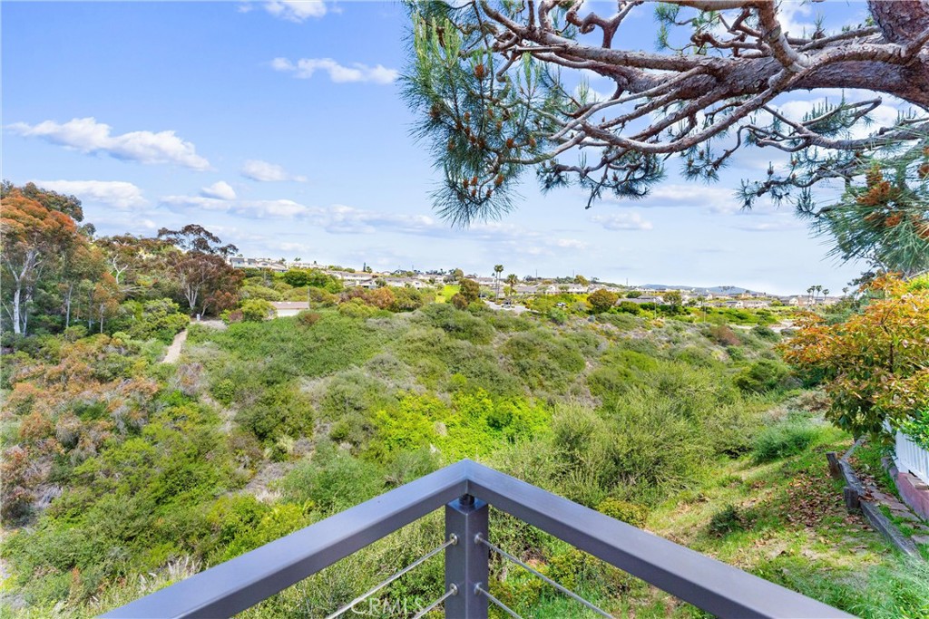 MLS #OC25098501 image #8