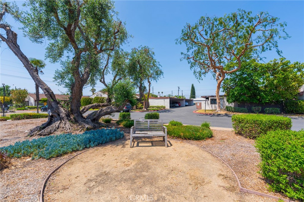 MLS #OC25115526 image #36