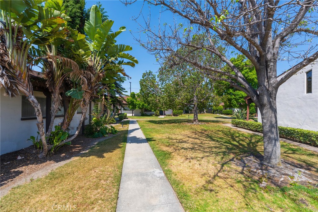 MLS #OC25115526 image #4