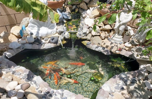 MLS #OC25116029 image #58