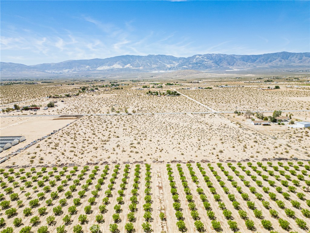 MLS #OC25118410 image #11