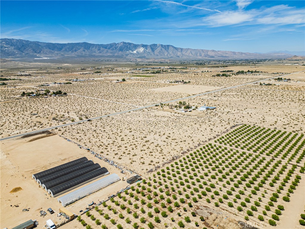 MLS #OC25118410 image #5