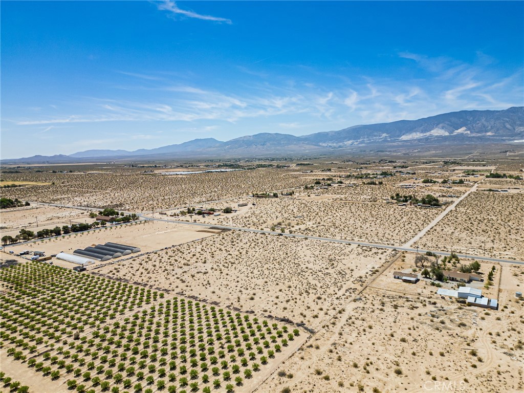 MLS #OC25118410 image #7