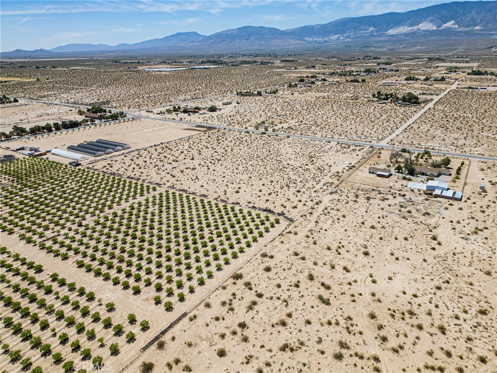 MLS #OC25118410 image #8