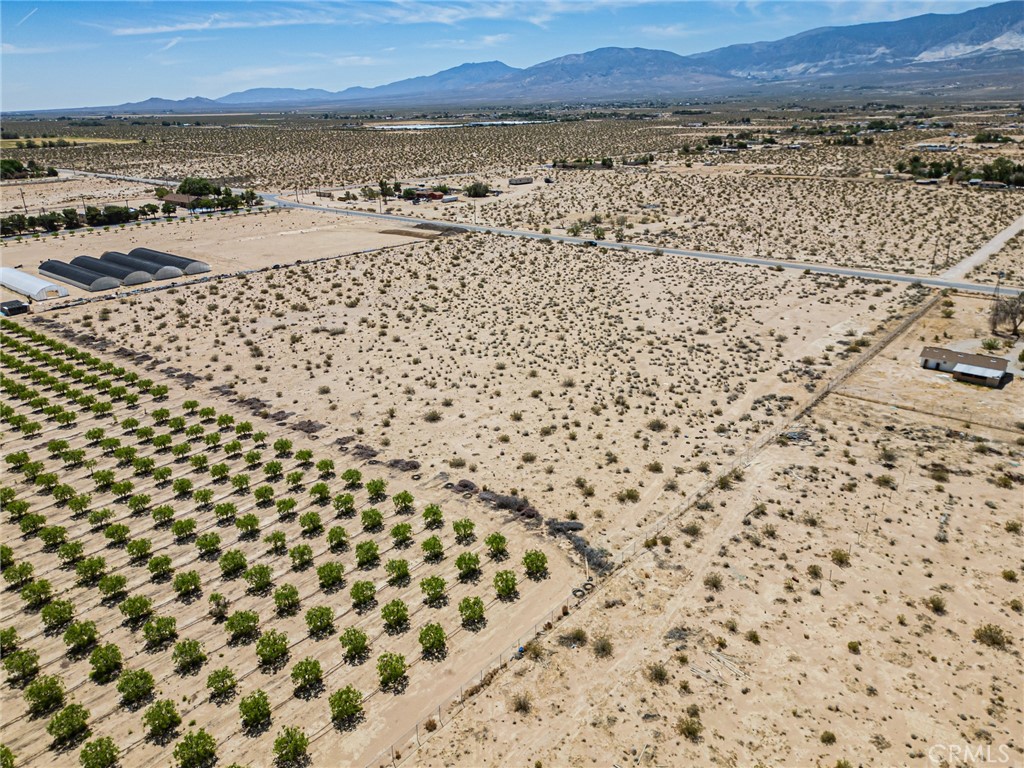 MLS #OC25118410 image #9