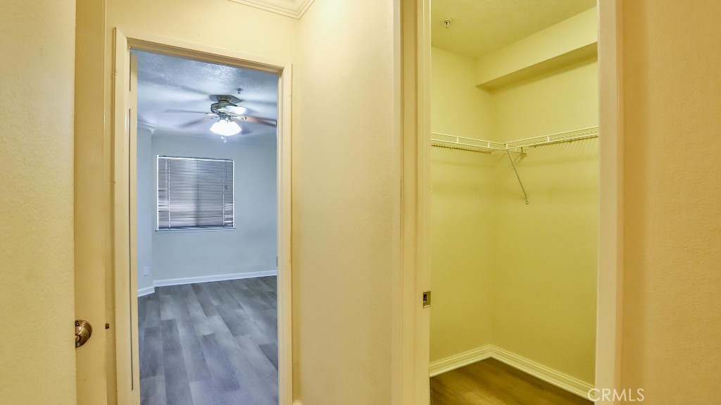 MLS #OC25119277 image #17