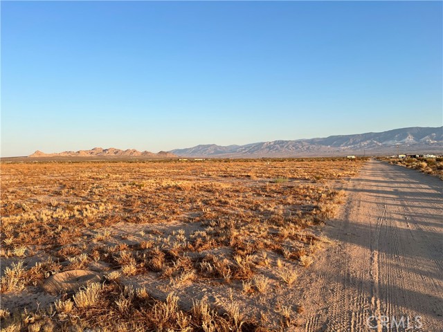MLS #OC25119889 image #4