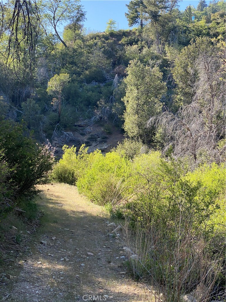 MLS #OC25121022 image #5