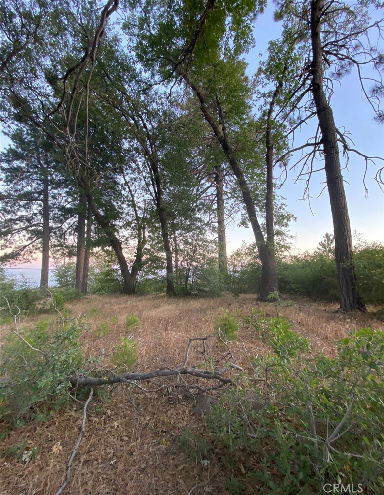 MLS #OC25121022 image #6