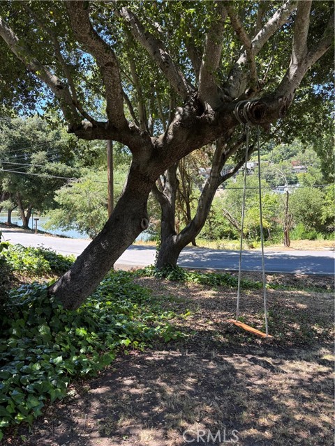 MLS #OC25124541 image #4