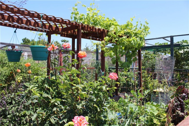 MLS #OC25125973 image #23