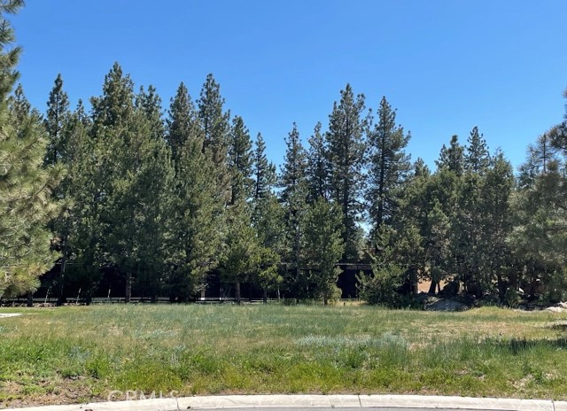 MLS #OC25127919 image #1