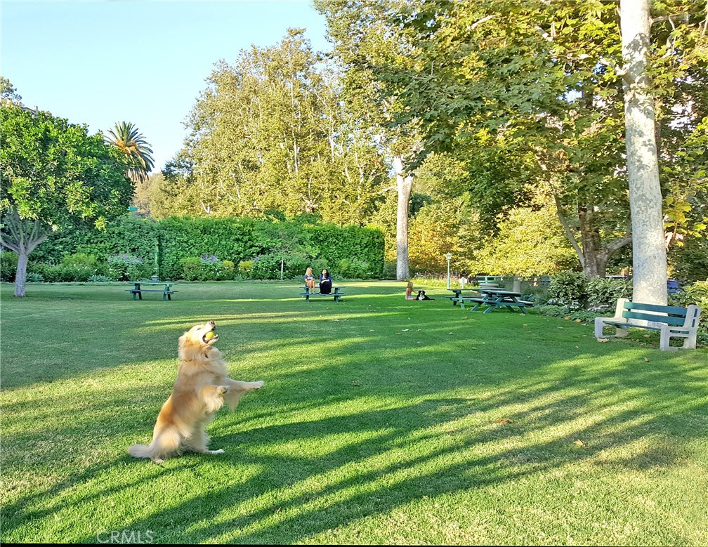 MLS #OC25128131 image #29