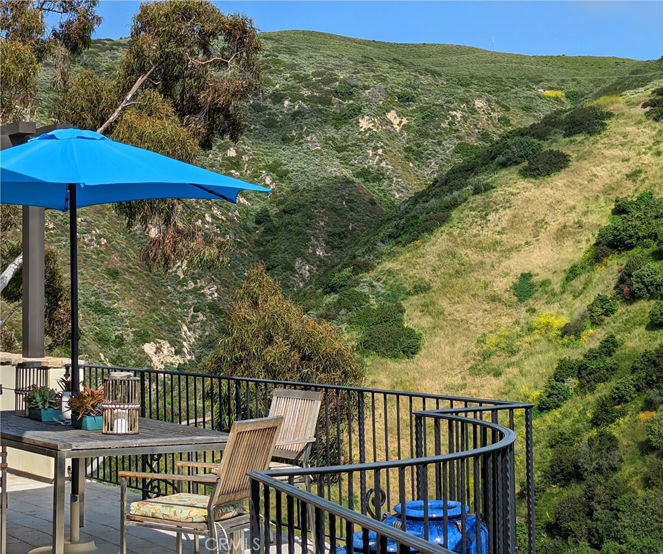 MLS #OC25128131 image #8