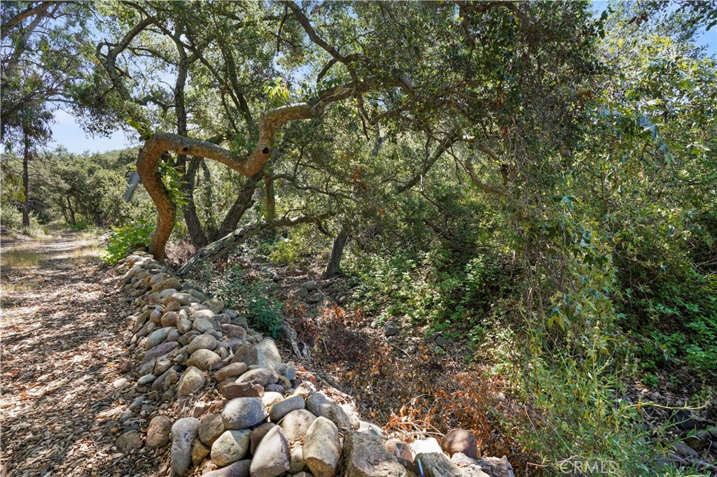 MLS #OC25131191 image #21