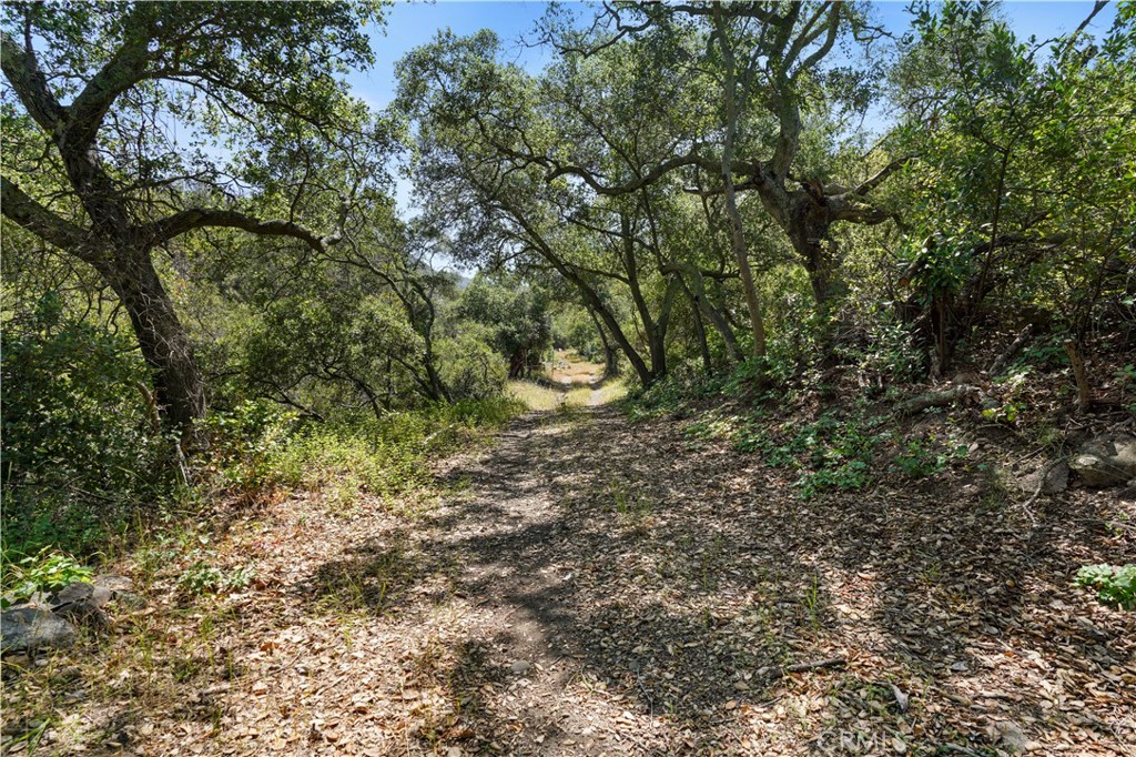 MLS #OC25131191 image #24