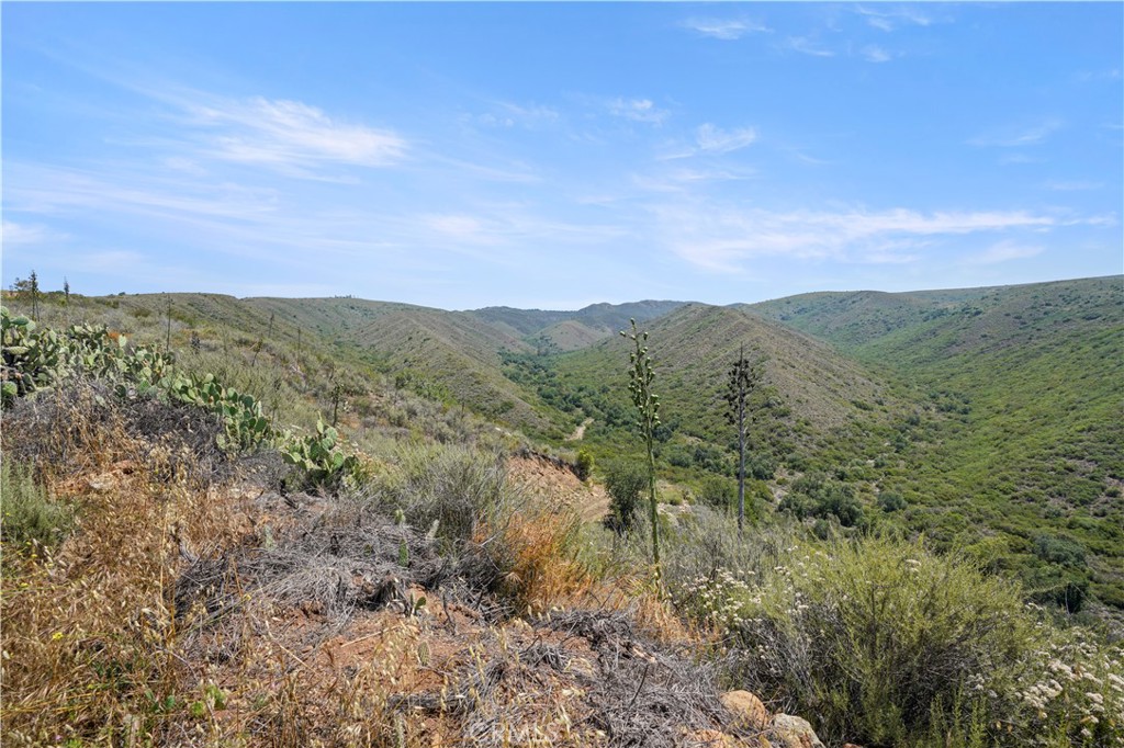 MLS #OC25131191 image #25