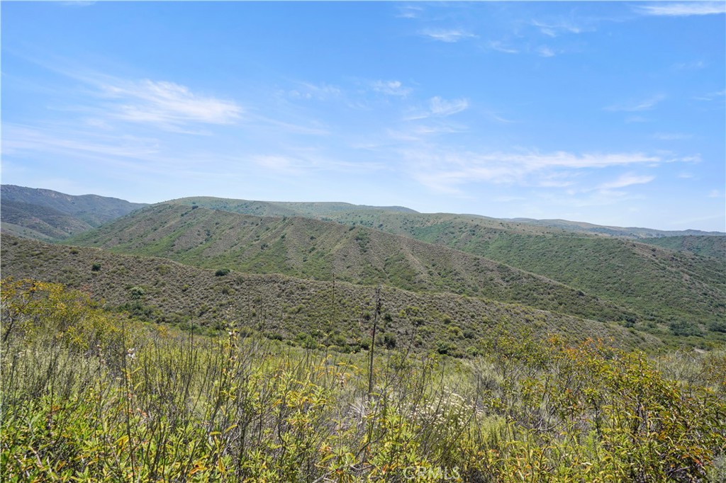 MLS #OC25131191 image #27