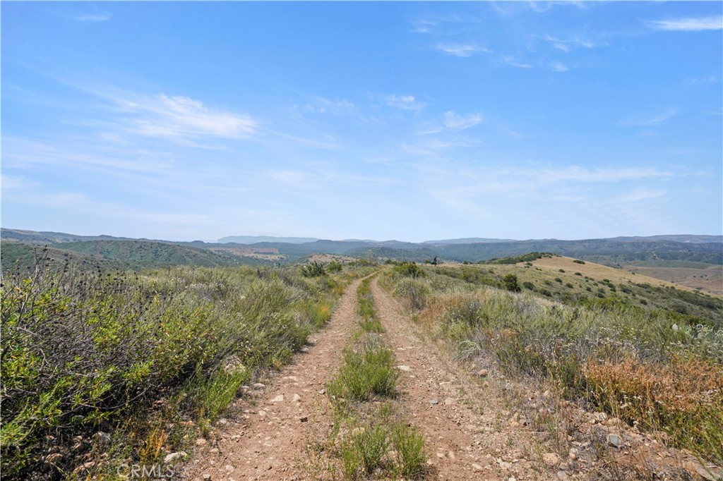 MLS #OC25131191 image #5