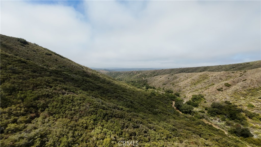 MLS #OC25131191 image #6