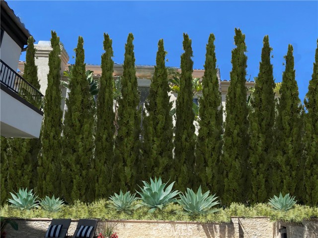 MLS #OC25132178 image #30