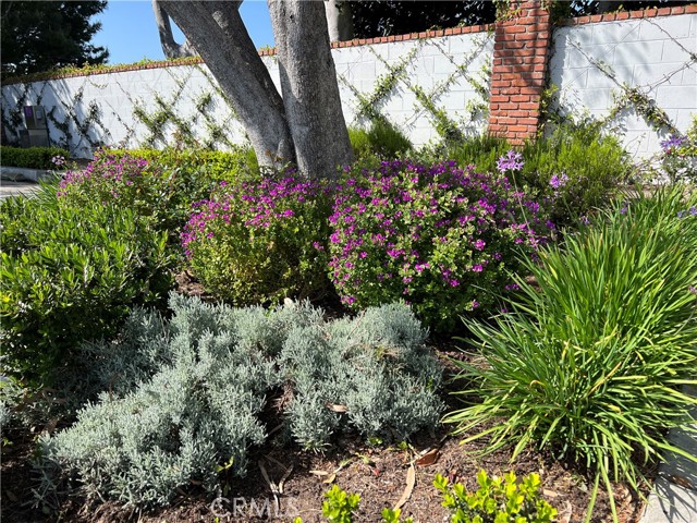 MLS #OC25132831 img 48