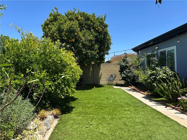 MLS #OC25134514 image #12