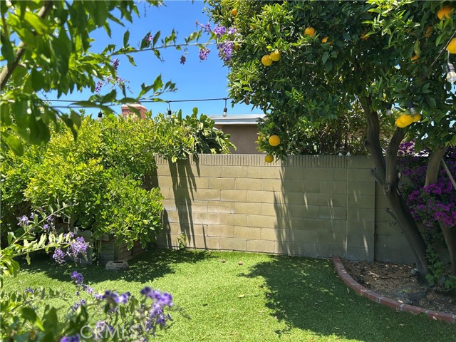 MLS #OC25134514 image #16