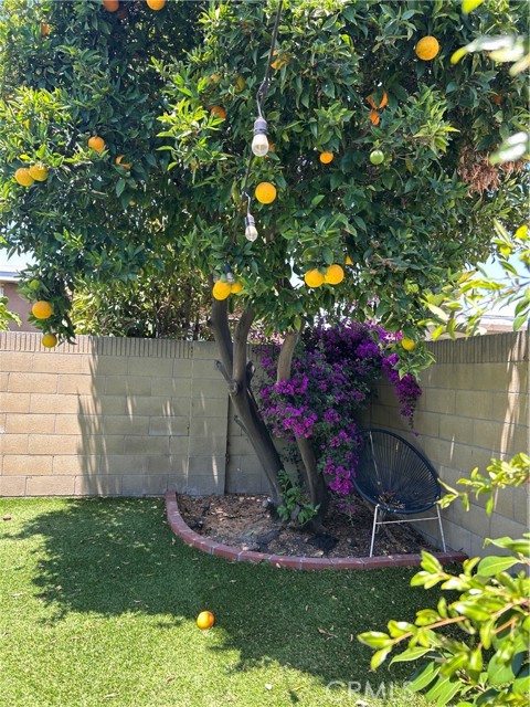 MLS #OC25134514 image #17