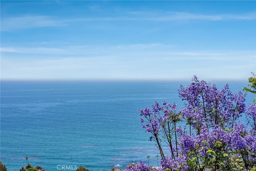 MLS #OC25136591 image #48