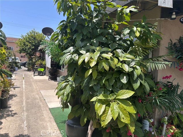 MLS #OC25138368 image #9