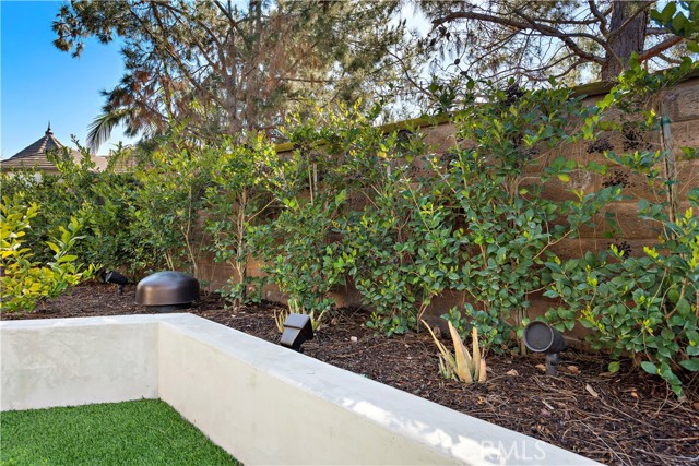 MLS #OC25146782 image #48