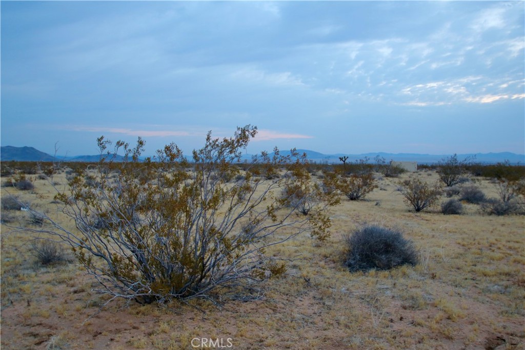 MLS #OC25148379 image #18