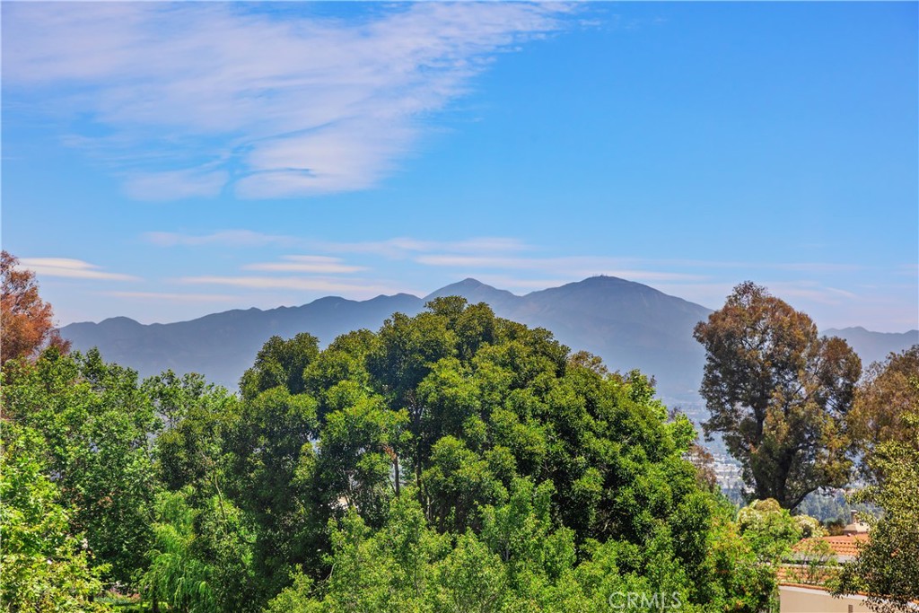 MLS #OC25148491 image #32