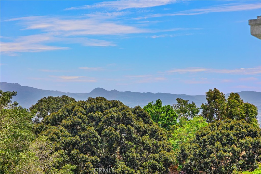 MLS #OC25148491 image #33