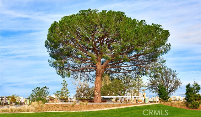 MLS #OC25150122 image #42